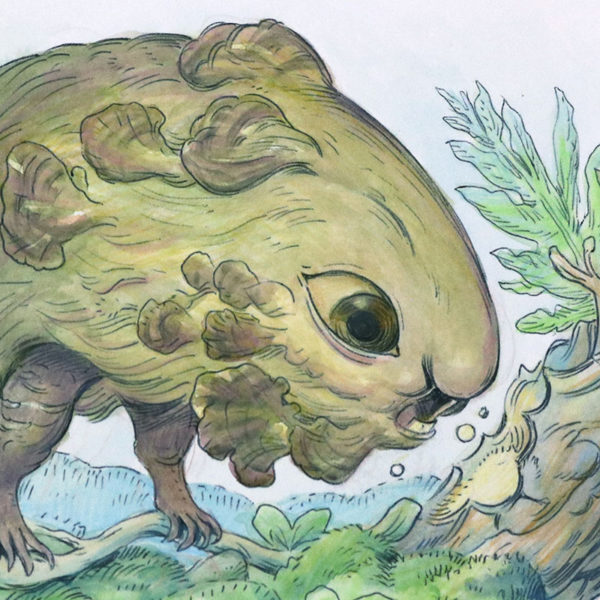 Creature Design Illustration, Julie Benbassat