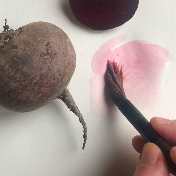 Home Art Supplies: Painting with Beets