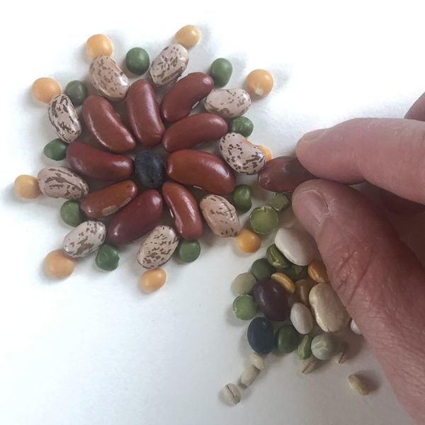 Home Art Supplies: Bean Mosaic