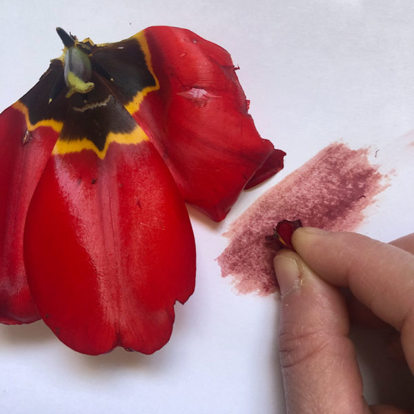 Home Art Supplies: Tulip Leaves