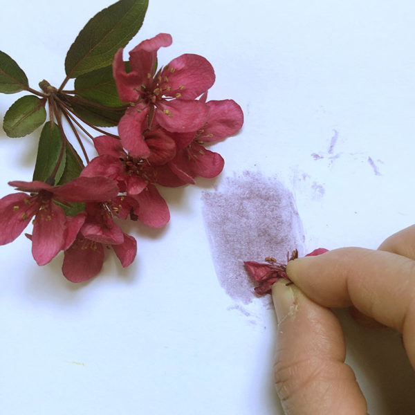 Home Art Supplies: Flowers