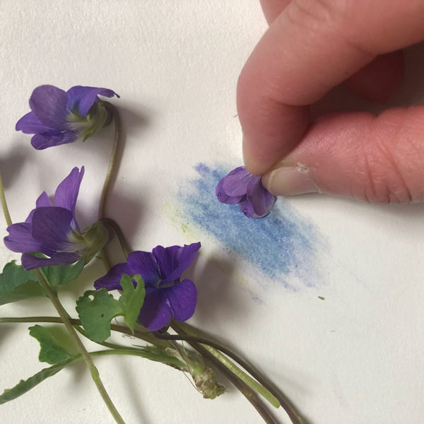 Home Art Supplies: Color with Violet Petals