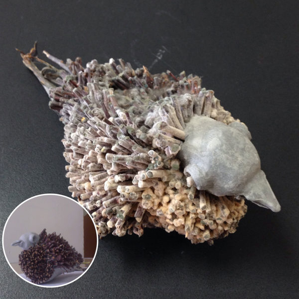 Art School Admissions Portfolio Example