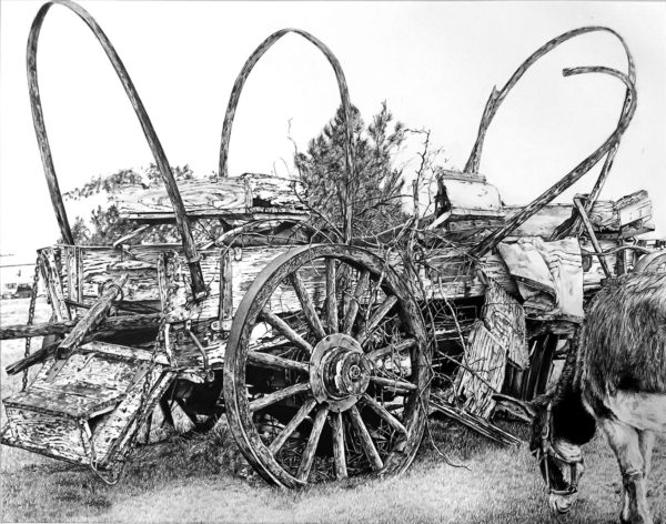 Art School Admissions Portfolio: Pencil Drawing