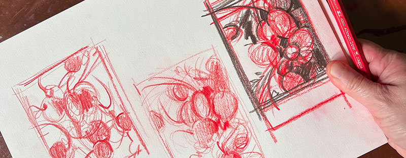 Thumbnail sketches radish banner colored pencil drawing