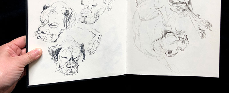 Sketchbook banner