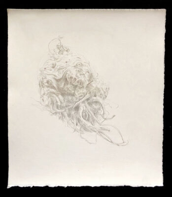 Silverpoint drawing